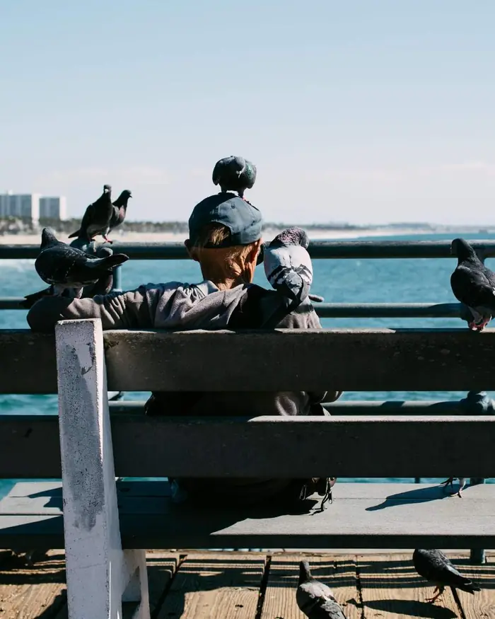 Arne Lindqvist on a bench on the north pier